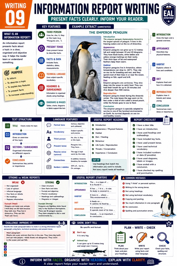 Information Report Writing Guide classroom poster